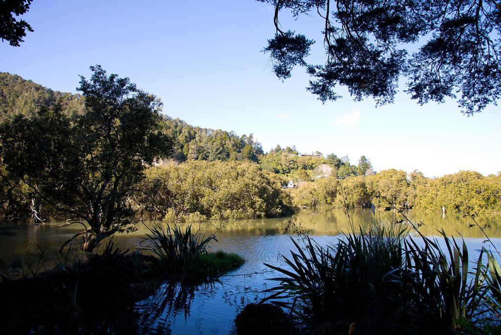 By The Park B & B วานกาไร ภายนอก รูปภาพ